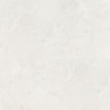 Wandfliese und Bodenfliese Feinsteinzeug rektif. Marmor Optik Calacatta Michelangelo Scoria white